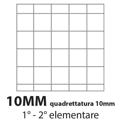 QUADERNO MAXI HT 20+1 80GR. 10MM - CONF. 10 PZ